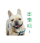 French Bulldog Fatty（個別スタンプ：24）