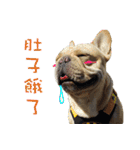 French Bulldog Fatty（個別スタンプ：26）