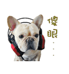 French Bulldog Fatty（個別スタンプ：38）