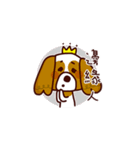 Cute Cavalier King Charles Spaniel（個別スタンプ：1）