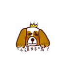 Cute Cavalier King Charles Spaniel（個別スタンプ：7）