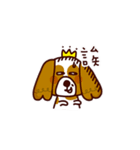 Cute Cavalier King Charles Spaniel（個別スタンプ：10）