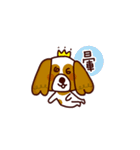 Cute Cavalier King Charles Spaniel（個別スタンプ：11）