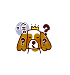 Cute Cavalier King Charles Spaniel（個別スタンプ：16）