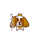 Cute Cavalier King Charles Spaniel（個別スタンプ：25）