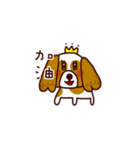 Cute Cavalier King Charles Spaniel（個別スタンプ：28）