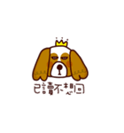 Cute Cavalier King Charles Spaniel（個別スタンプ：32）