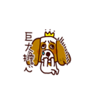 Cute Cavalier King Charles Spaniel（個別スタンプ：39）