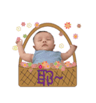 Money Money baby debut（個別スタンプ：5）