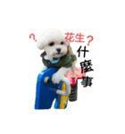 Dog Life 01（個別スタンプ：4）