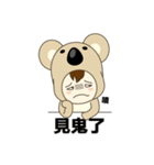 Mico Koala（個別スタンプ：17）