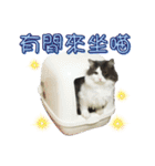 Di Di Say Something（個別スタンプ：12）