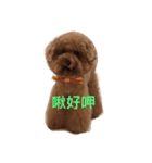 Red Poodle Junior Ouba 2（個別スタンプ：21）