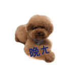 Red Poodle Junior Ouba 2（個別スタンプ：23）