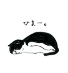可愛すぎる黒白猫みぃちゃんの毎日（個別スタンプ：19）