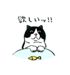 可愛すぎる黒白猫みぃちゃんの毎日（個別スタンプ：38）
