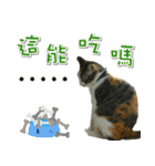 Meow emperor's daily of Meng Mei（個別スタンプ：2）