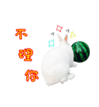 Kevin's Rabbit（個別スタンプ：6）