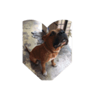 pangdoggy（個別スタンプ：6）