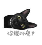 苦悩の黒猫（個別スタンプ：4）