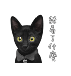 苦悩の黒猫（個別スタンプ：6）