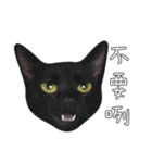 苦悩の黒猫（個別スタンプ：18）