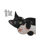 苦悩の黒猫（個別スタンプ：22）