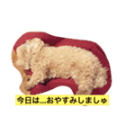 ミックス犬のごあいさつ（個別スタンプ：9）