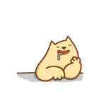 Do Do Meow-Student daily articles（個別スタンプ：1）