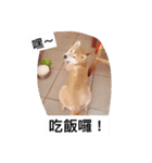 D＆C funny（個別スタンプ：2）