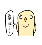 This bird is here（個別スタンプ：2）