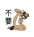 dogdog oppa（個別スタンプ：16）