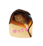 愛猫 ちょこ（個別スタンプ：12）