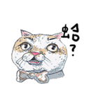 eh！cat！7（個別スタンプ：9）