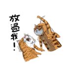 eh！cat！7（個別スタンプ：11）