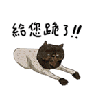 eh！cat！7（個別スタンプ：13）