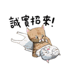 eh！cat！7（個別スタンプ：21）