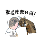 eh！cat！7（個別スタンプ：40）