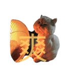 CuteCat-BenBen（個別スタンプ：3）