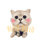 CuteCat-BenBen（個別スタンプ：8）