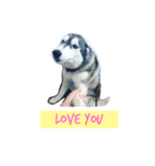 A husky named Lady（個別スタンプ：7）