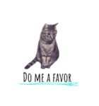 Peupeu cat 2（個別スタンプ：2）