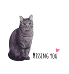 Peupeu cat 2（個別スタンプ：5）