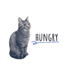 Peupeu cat 2（個別スタンプ：6）