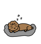 Hodu life（個別スタンプ：17）
