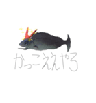 ちょっとおかしな魚（個別スタンプ：4）