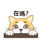 chubby meow（個別スタンプ：1）