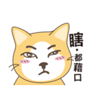 chubby meow（個別スタンプ：13）