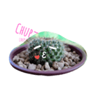 cactus.cactus（個別スタンプ：2）