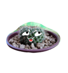 cactus.cactus（個別スタンプ：3）